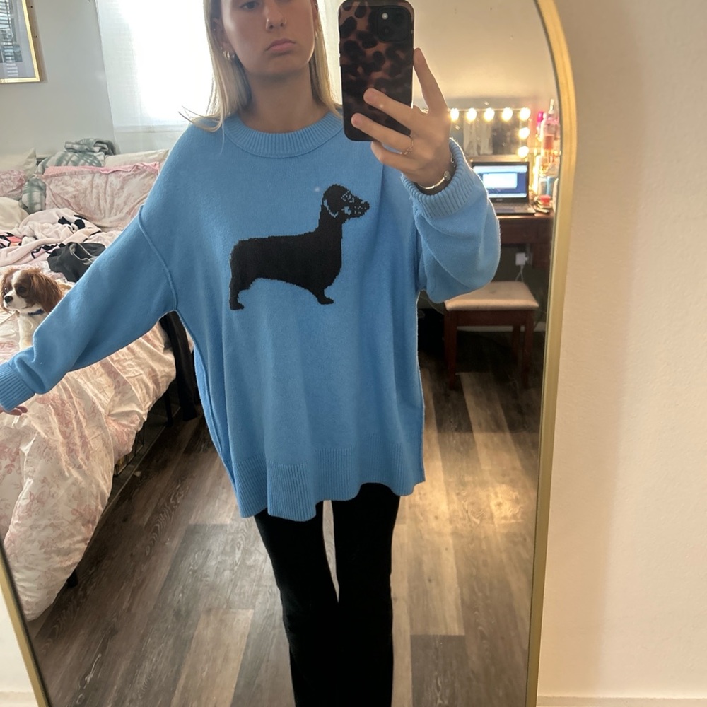 aerie Light Blue Knit Sweater with Black Dog Motif